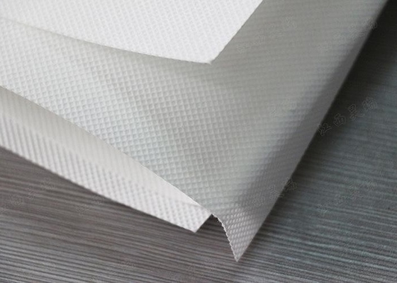 comprare Tessuto non tessuto 10 dell'ANIMALE DOMESTICO di protezione dell'ambiente - 200gsm per stampa del trasferimento di calore online manufacture