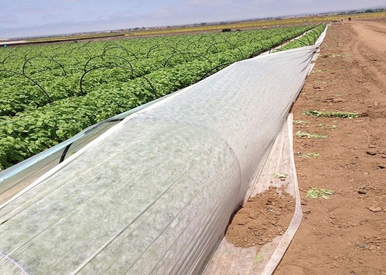 comprare Tessuto non tessuto agricolo in PP anti-allungamento antinvecchiamento su misura online manufacture