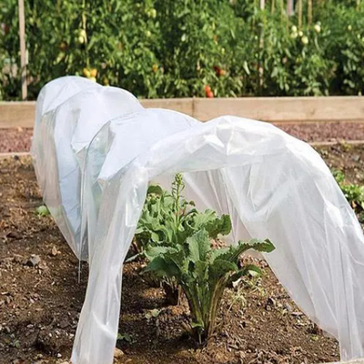 comprare PP tessuto non tessuto Agricoltura Utilizzo per proteggere dal gelo Alta qualità online manufacture