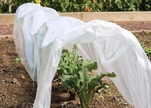 comprare Tessuti non tessuti 100% PP ecologici per pacciamatura agricola online manufacture