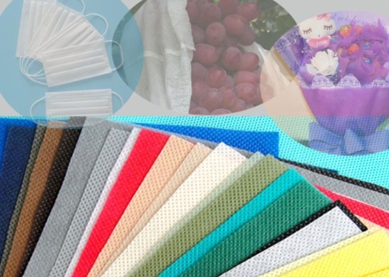 comprare Anti-uccelli Insetto Prevenzione dei frutti Sacchetto non tessuto Protezione agricola Sacchetti per la coltivazione dell'uva online manufacture