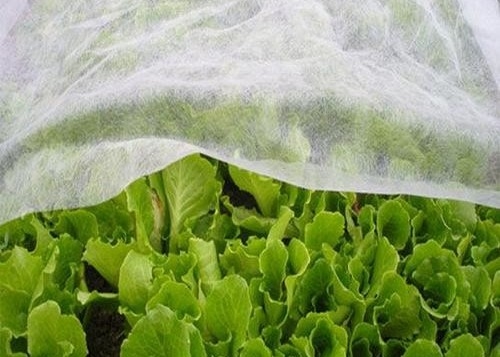 comprare Trasmissione di luce termica per l'agricoltura online manufacture