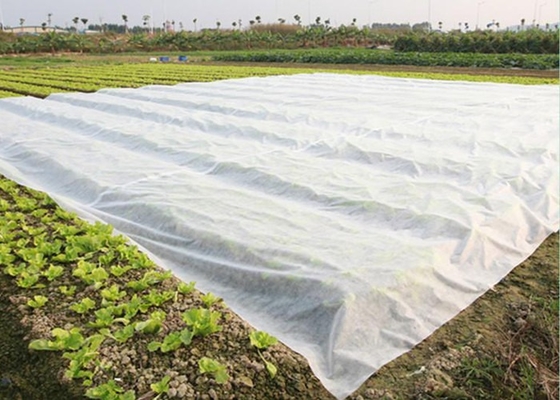 comprare Colore e taglia personalizzati Tessuti non tessuti PP Spunbond per applicazioni agricole online manufacture