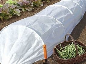 comprare Tenere caldo tessuti non tessuti agricoli Inibire la crescita di erbacce inverno online manufacture