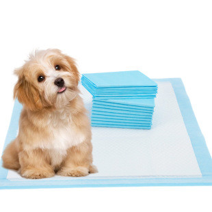 comprare Pets Piss Pad utilizzare materia prima PP Nonwoven Factory Direct Supply online manufacture