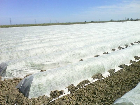 comprare Tessuti non tessuti per l'agricoltura a prova di freddo, a prova di insetti, isolanti termicamente online manufacture