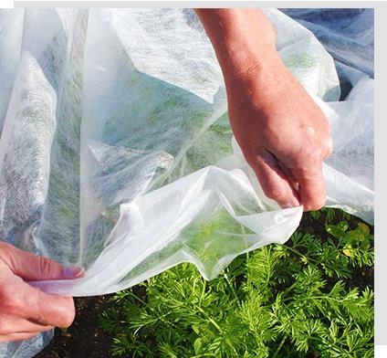comprare Tessuto non tessuto agricolo 6400mm per il controllo delle erbacce 60gsm online manufacture