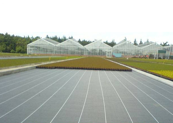comprare Il tessuto della copertura al suolo del giardino/tessuto del diserbo non per mantiene la temperatura online manufacture