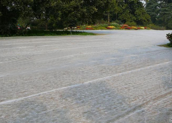 comprare Prodotto non intessuto extra bianco non tessuto del paesaggio di larghezza di 100% pp biodegradabile per l'azienda agricola online manufacture