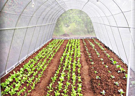 comprare Tissu non tessuto agricolo in PP UVproof Salute ambientale online manufacture