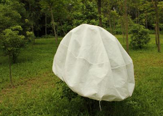 comprare Di Hydrobilic di agricoltura protezione di inverno del tessuto pp non nessun inquinamento per i frutteti online manufacture