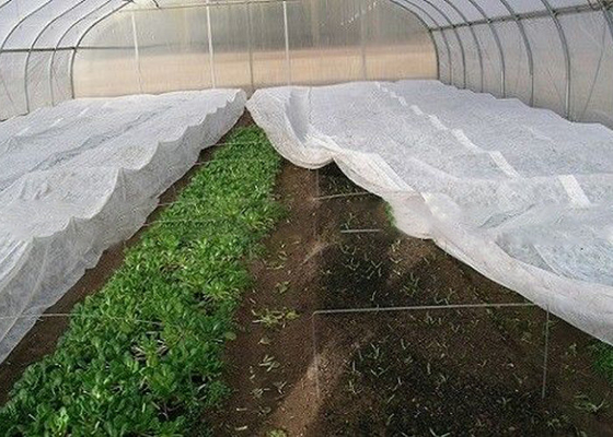 comprare Il tessuto pp del diserbo del paesaggio non materiale per i giardini domestici libera il giardinaggio online manufacture