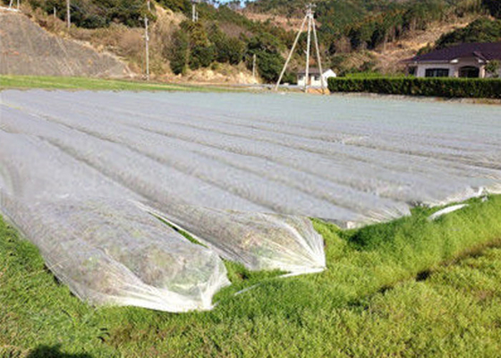 comprare Il tessuto non intessuto dell'agricoltura della copertura al suolo non impedisce alle erbacce di rovinare il paesaggio online manufacture
