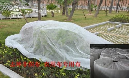 comprare Del polipropilene di agricoltura panno 100% di maglia della rete della copertura al suolo del diserbo del tessuto non online manufacture