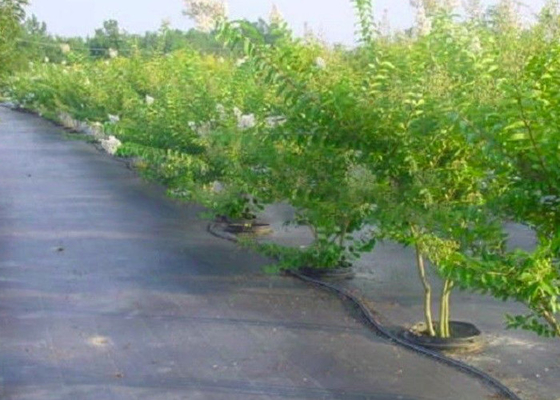 comprare Di agricoltura colore professionale del tessuto non su misura per la stuoia del diserbo online manufacture