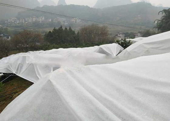 comprare Peso leggero bianco del tessuto del diserbo della copertura al suolo non tossico per gli alberi da frutto online manufacture