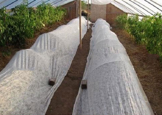 comprare Tessuto non tessuto in PP ecologico, degradabile, utilizzabile come pellicola agricola online manufacture
