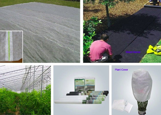 comprare Certificazione antinvecchiamento non tessuta dello SGS del tessuto del polipropilene di agricoltura online manufacture