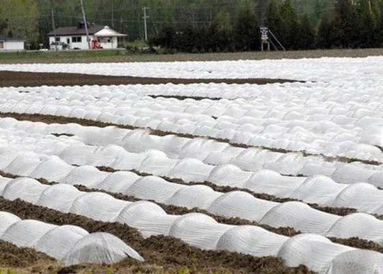 comprare Di Eco di agricoltura tessuto amichevole non con OEM/ODM sottoposti agli UV di 4% - di 1% disponibile online manufacture