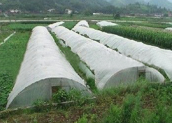 comprare Vari colori di agricoltura del tessuto leggero non disponibili online manufacture