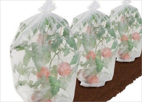 comprare Tessuti amichevole di agricoltura pp di Eco non ODM dell'OEM sottoposto agli UV di 4% - di 1% online manufacture