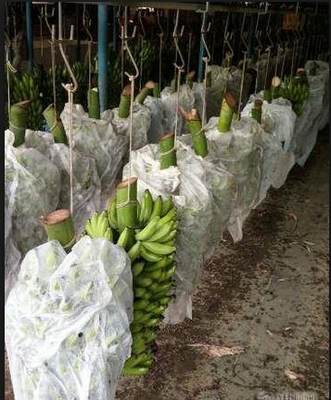 comprare Muffa di giardinaggio di larghezza del tessuto 320cm di agricoltura di hobby non anti online manufacture