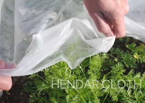 comprare Frutta che avvolge il tessuto non tessuto 3200mm del panno pp Spunbond su misura per agricoltura online manufacture