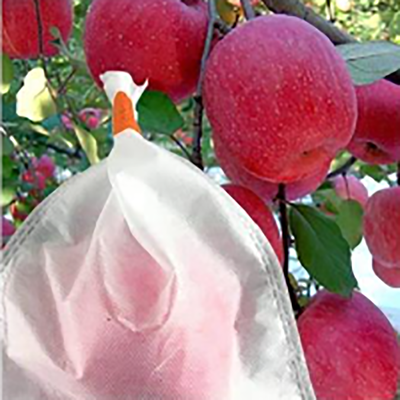 Anti-UV Agricoltura Non tessuto PP Hydrophobic Fruit Bag Protective Per Banana Mela