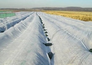 Anti elettricità statica dei pp del tessuto idrofobo respirabile non per agricoltura