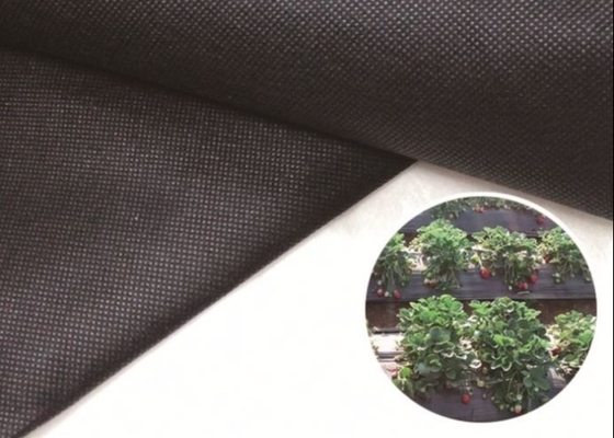 Tissu leggero monouso per la gestione dell' incontinenza, logo personalizzabile